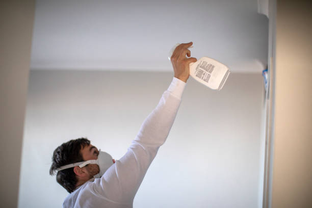 Best Mold Removal Near Me  in Winston, OR