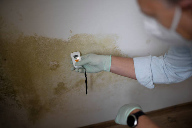 Winston, OR Mold Removal Company