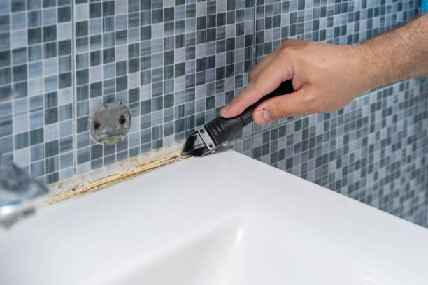 Best Toxic Mold Removal  in Winston, OR