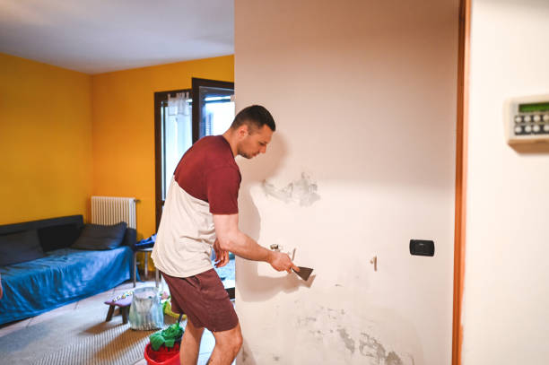 Home Mold Removal in Winston, OR